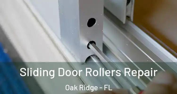  Sliding Door Rollers Repair Oak Ridge - FL