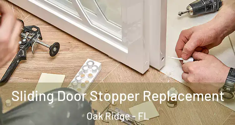  Sliding Door Stopper Replacement Oak Ridge - FL