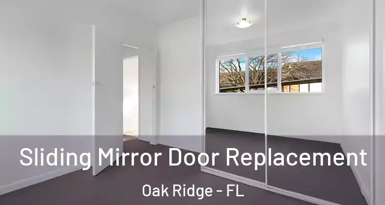  Sliding Mirror Door Replacement Oak Ridge - FL