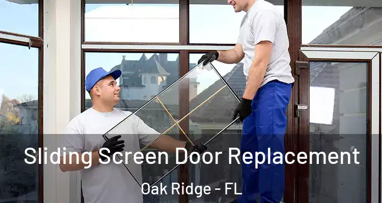  Sliding Screen Door Replacement Oak Ridge - FL