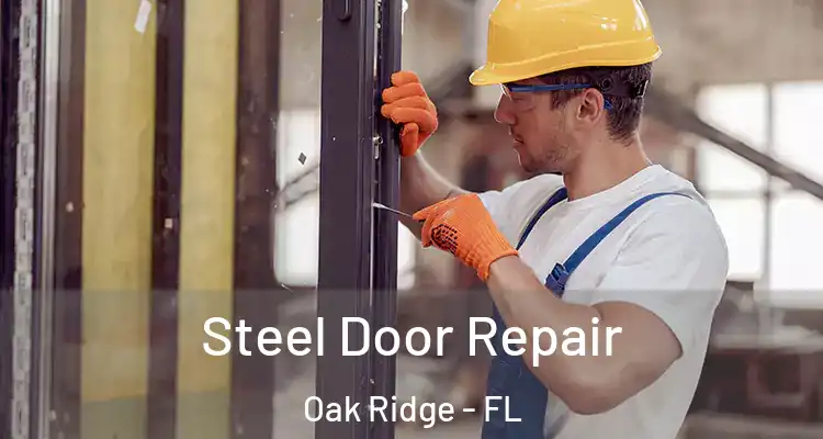  Steel Door Repair Oak Ridge - FL