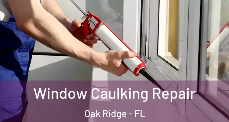  Window Caulking Repair Oak Ridge - FL