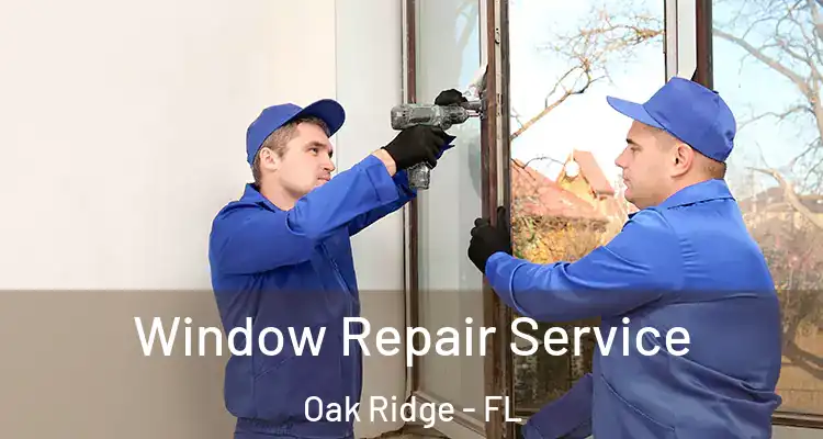  Window Repair Service Oak Ridge - FL