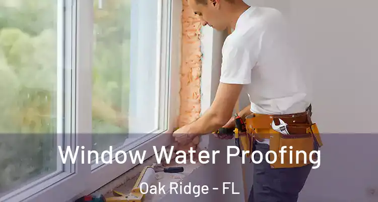  Window Water Proofing Oak Ridge - FL